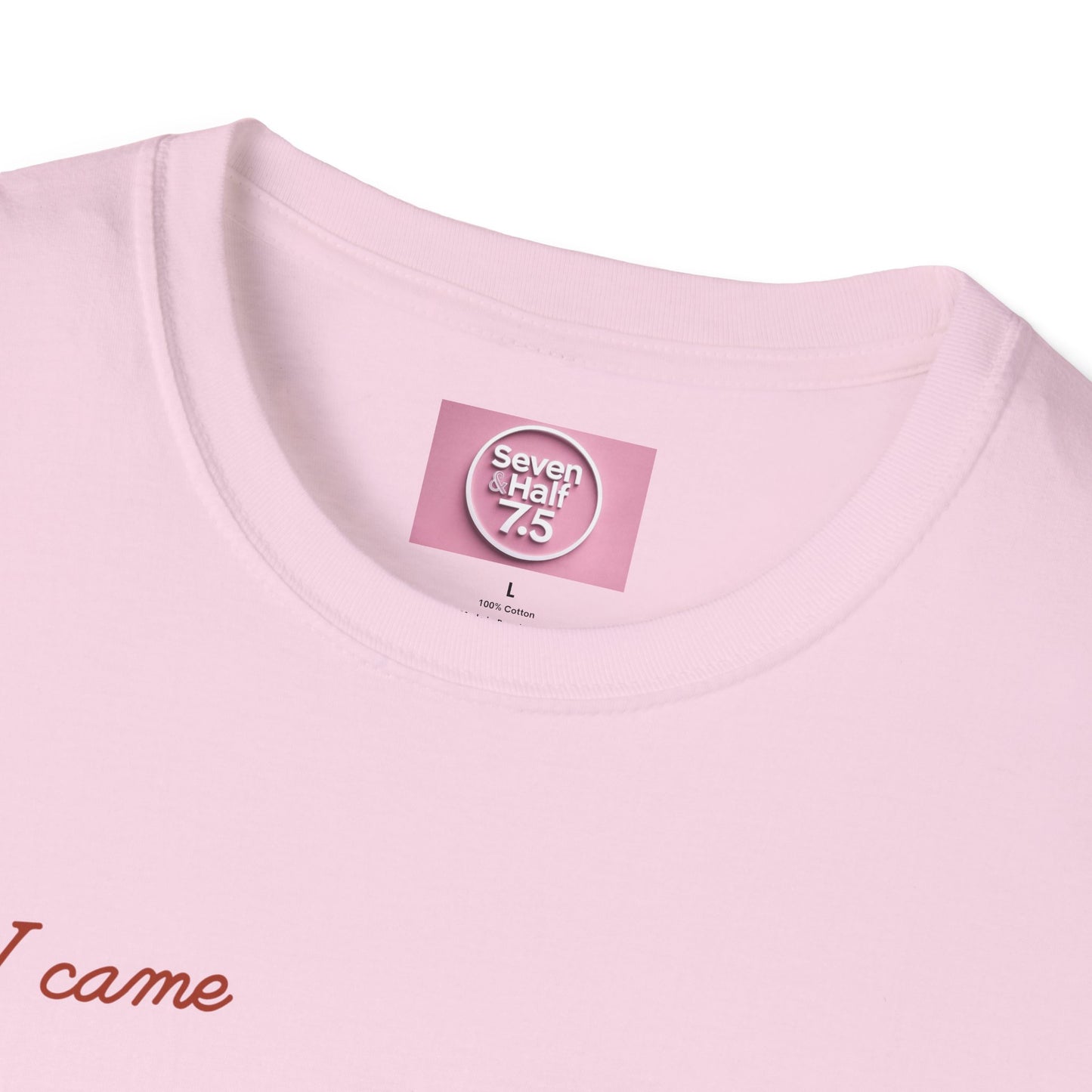 I Came, I Ate Burger Graphic Unisex Softstyle T-Shirt