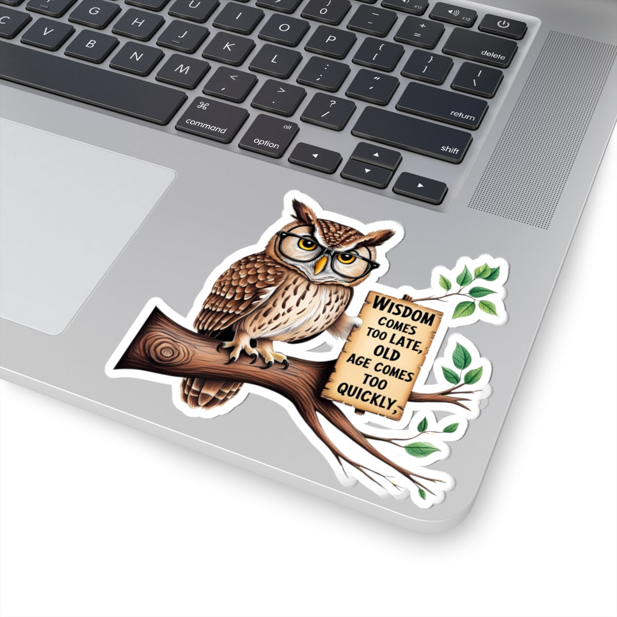 Wise Owl Kiss-Cut Stickers - Perfect for Gifts & Decor