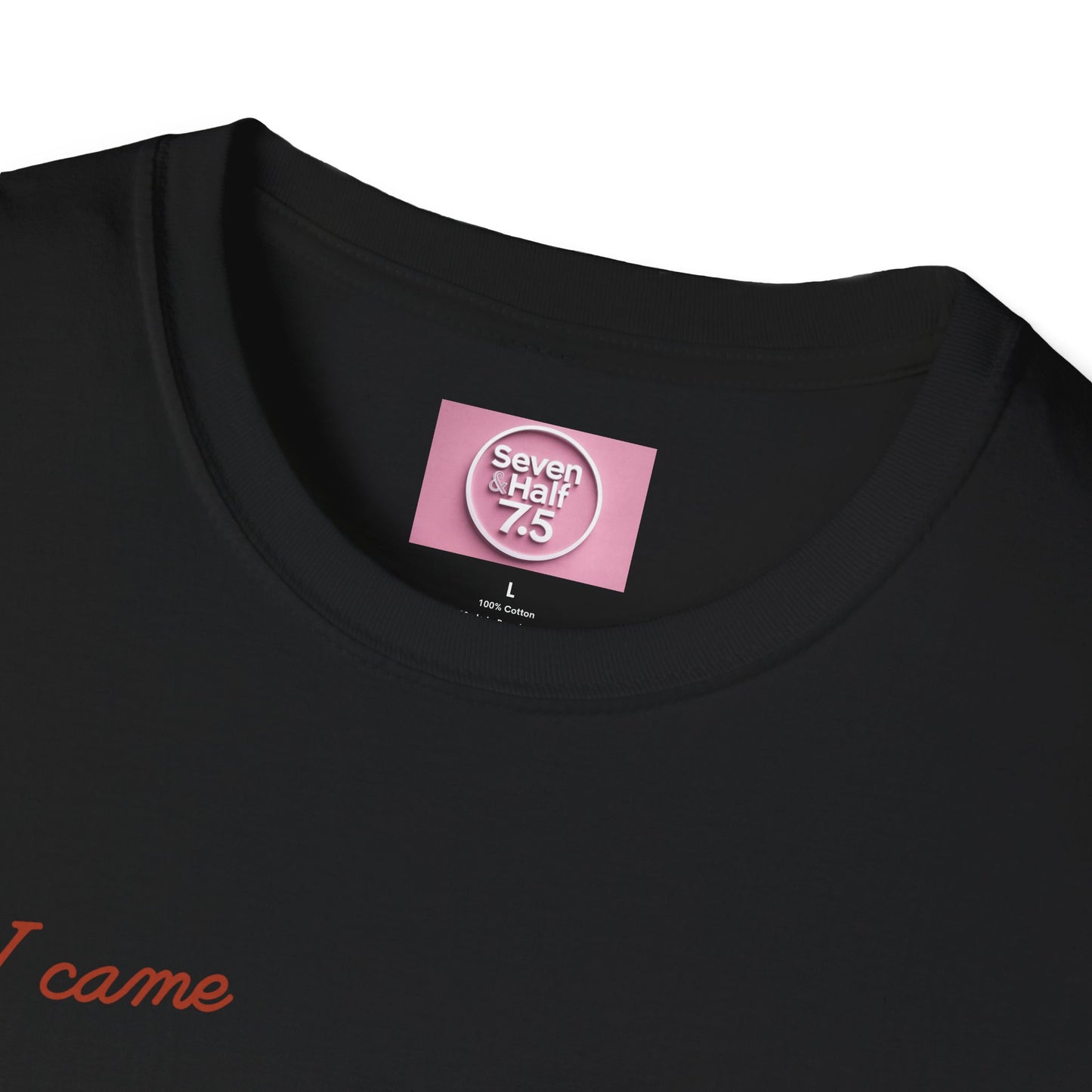 I Came, I Ate Burger Graphic Unisex Softstyle T-Shirt