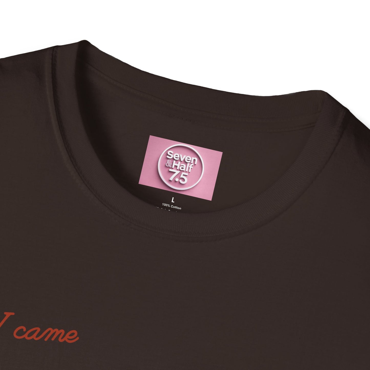 I Came, I Ate Burger Graphic Unisex Softstyle T-Shirt