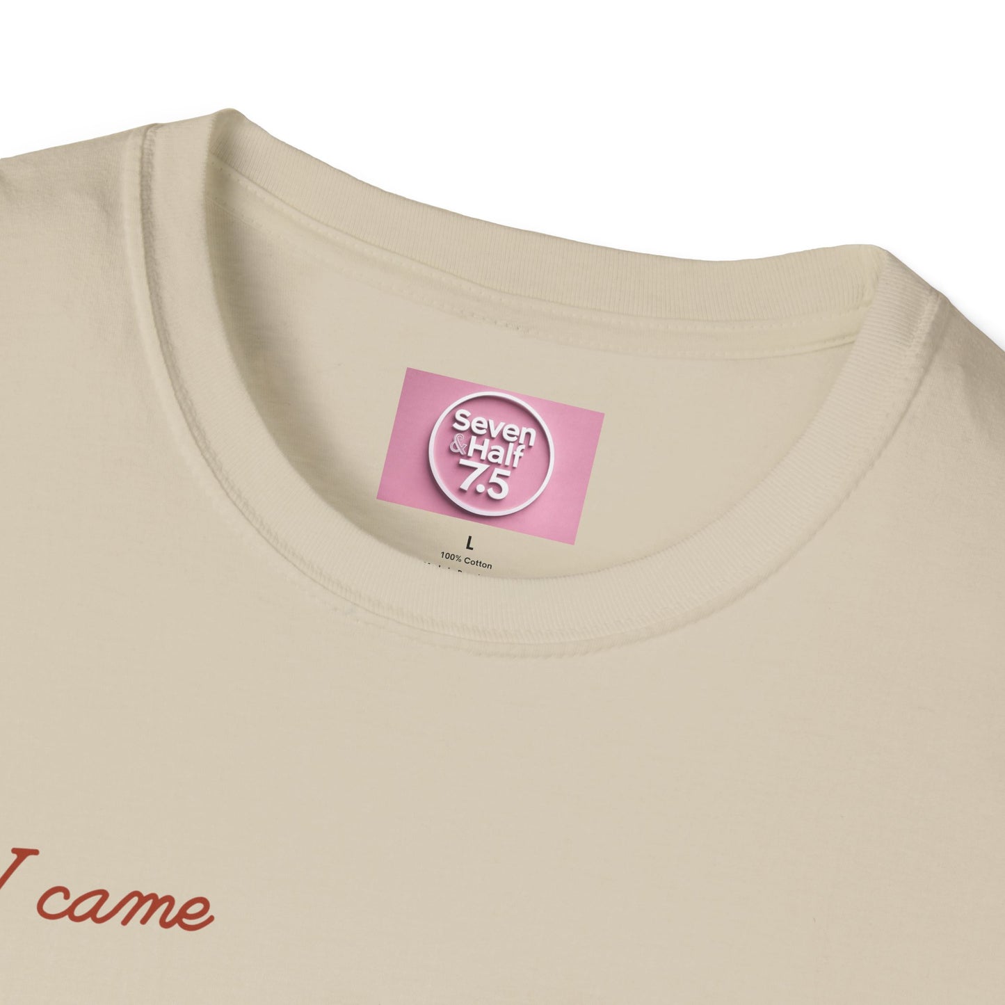 I Came, I Ate Burger Graphic Unisex Softstyle T-Shirt