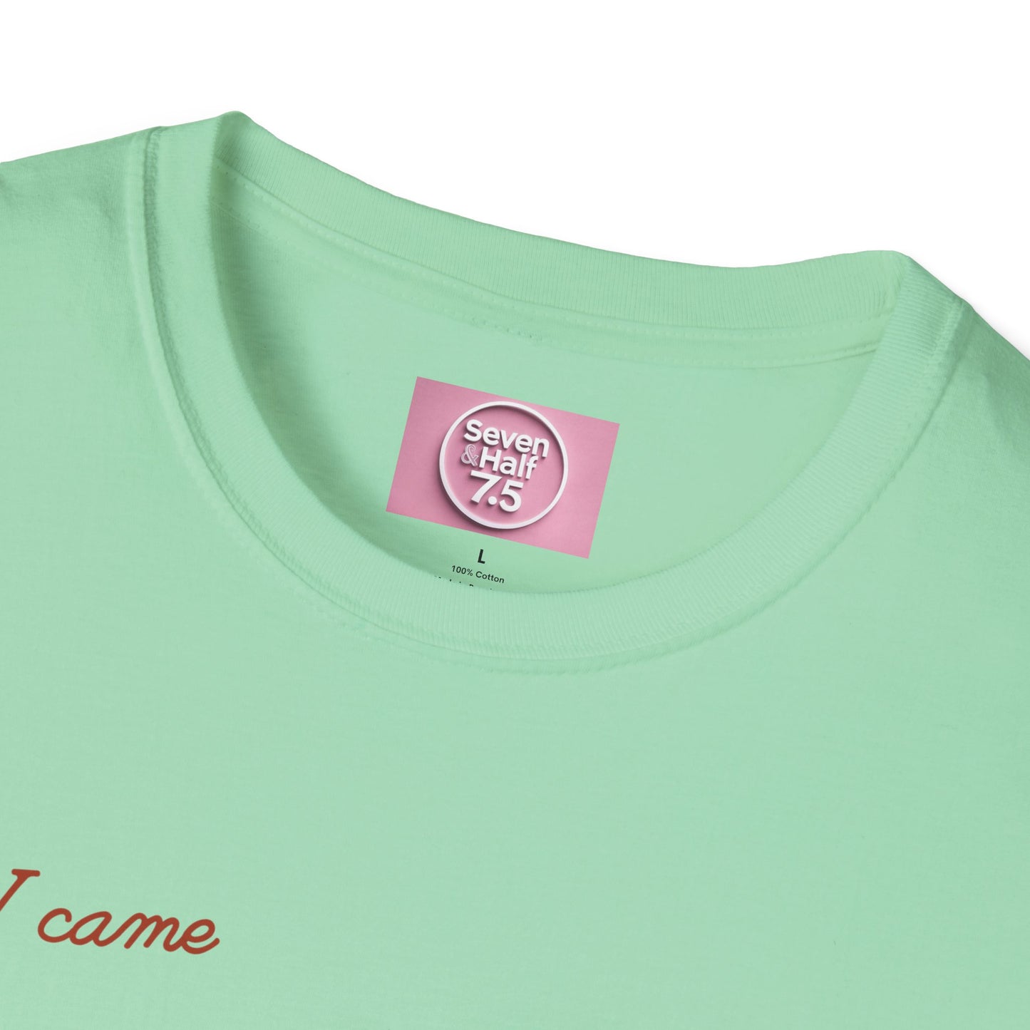 I Came, I Ate Burger Graphic Unisex Softstyle T-Shirt